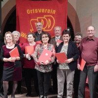 Viele Mitglieder wurden geehrt!